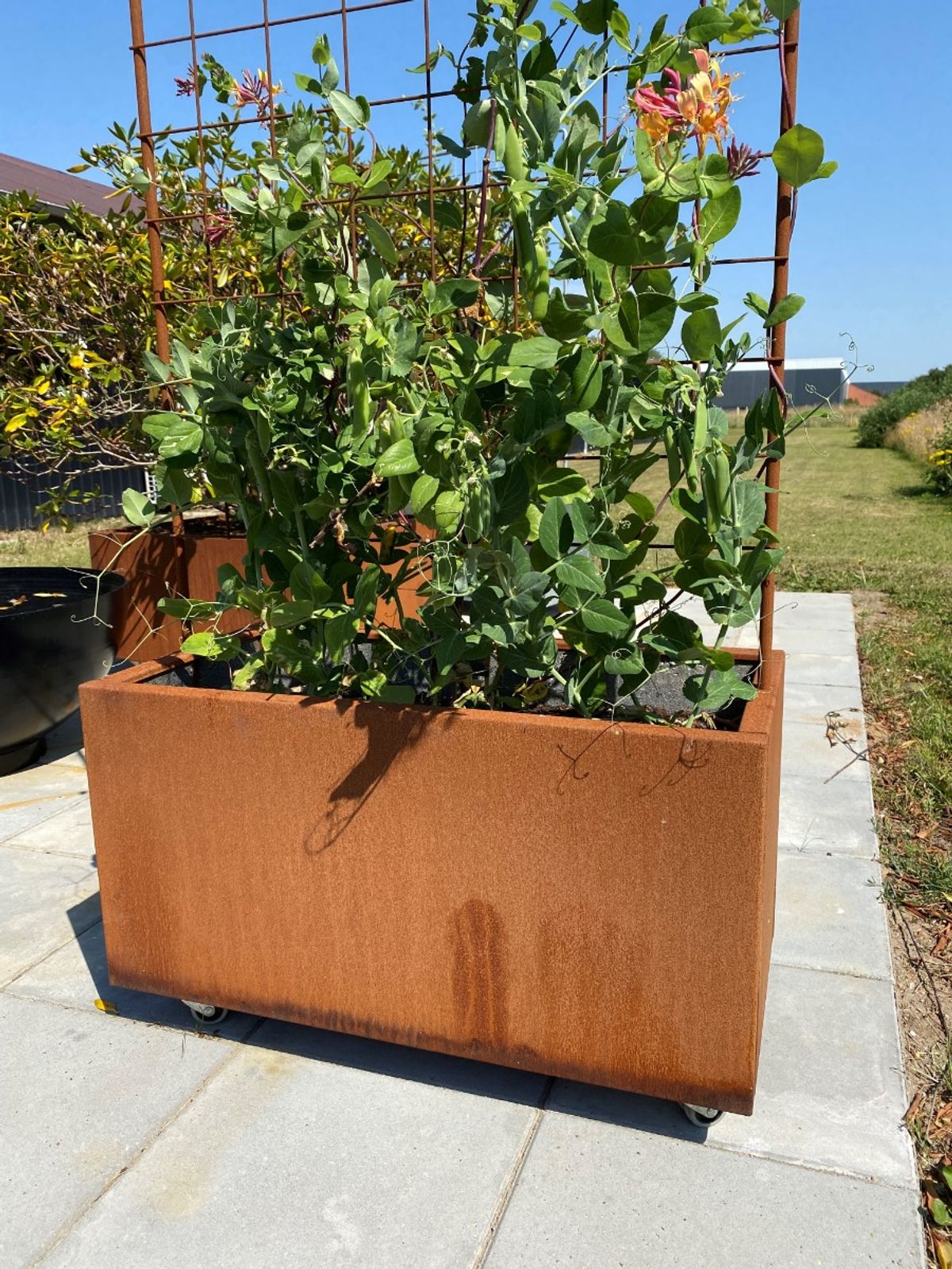 Plantekumme corten 80 x 40 x 40 cm m/espalier-Fødder-Med flamingo-Med kapilærindsats