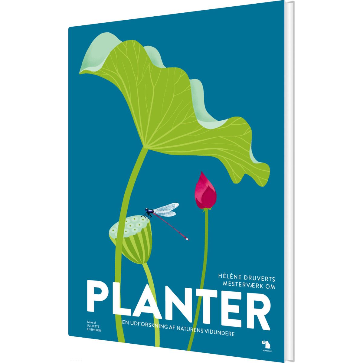 Planter - Hélène Druvert - Bog