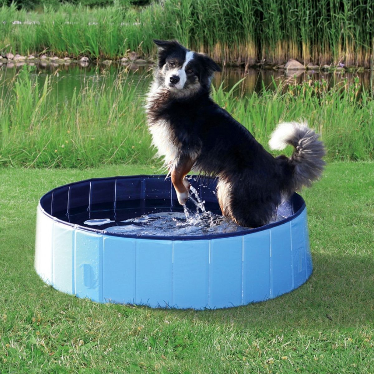 Pool til hunde-120 x 30