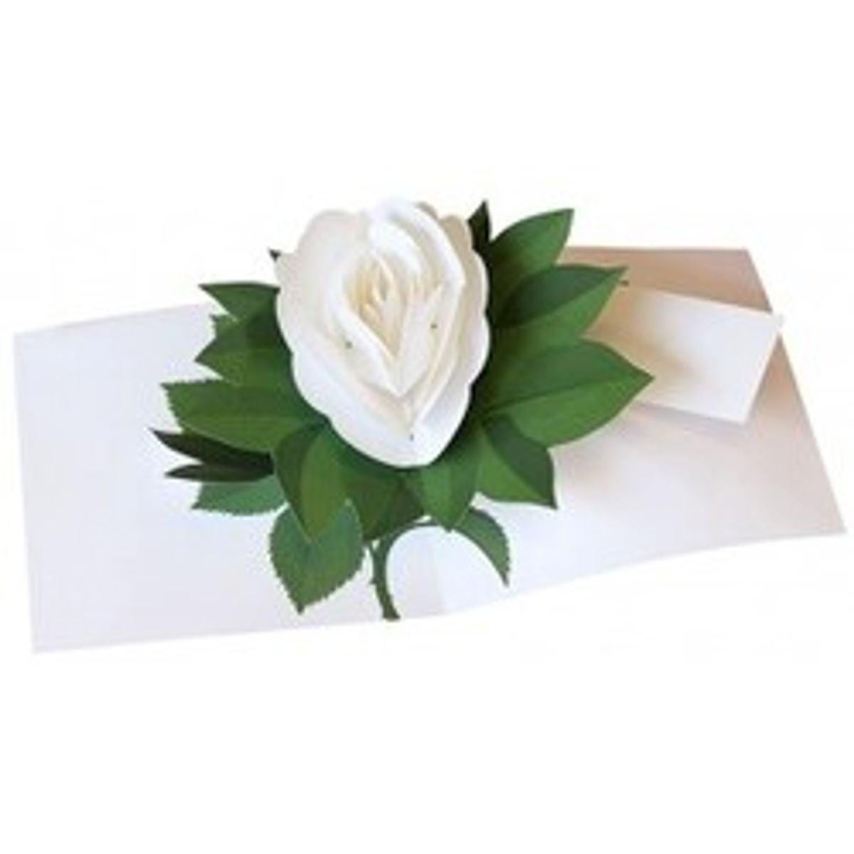 Pop-up Card Rose White