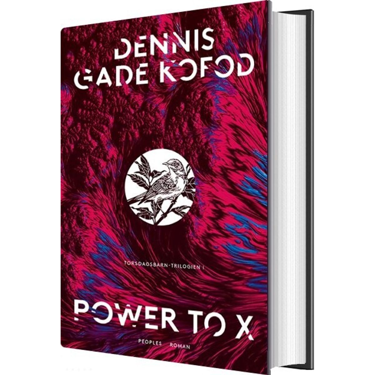 Power To X - Dennis Gade Kofod - Bog