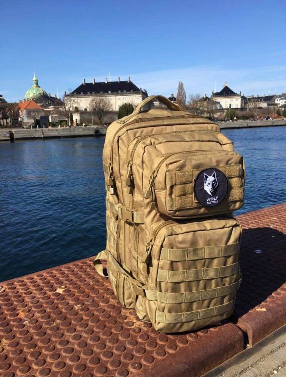 Praktisk rygsæk | US ASSAULT PACK LARGE COYOTE - MIL-TEC