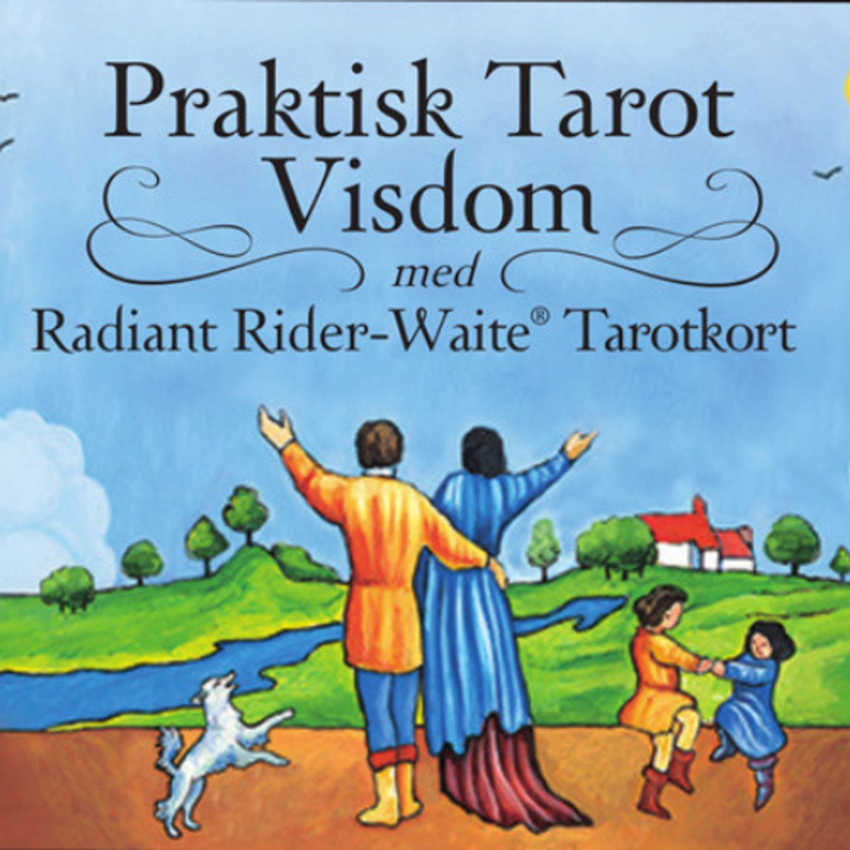 Praktisk Visdom Tarot