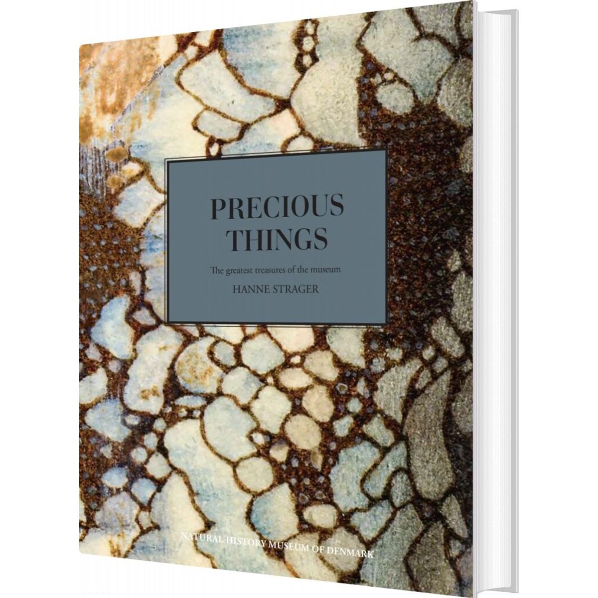 Precious Things - Hanne Strager - English Book