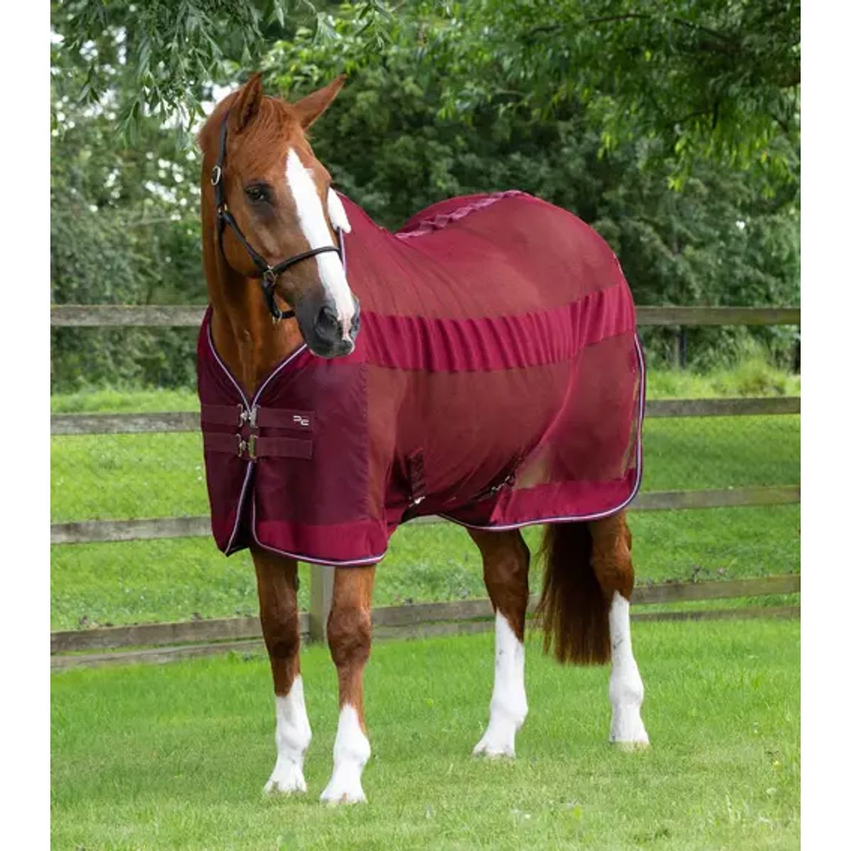 Premier Equine Arisca Scrim Cooler - Burgundy