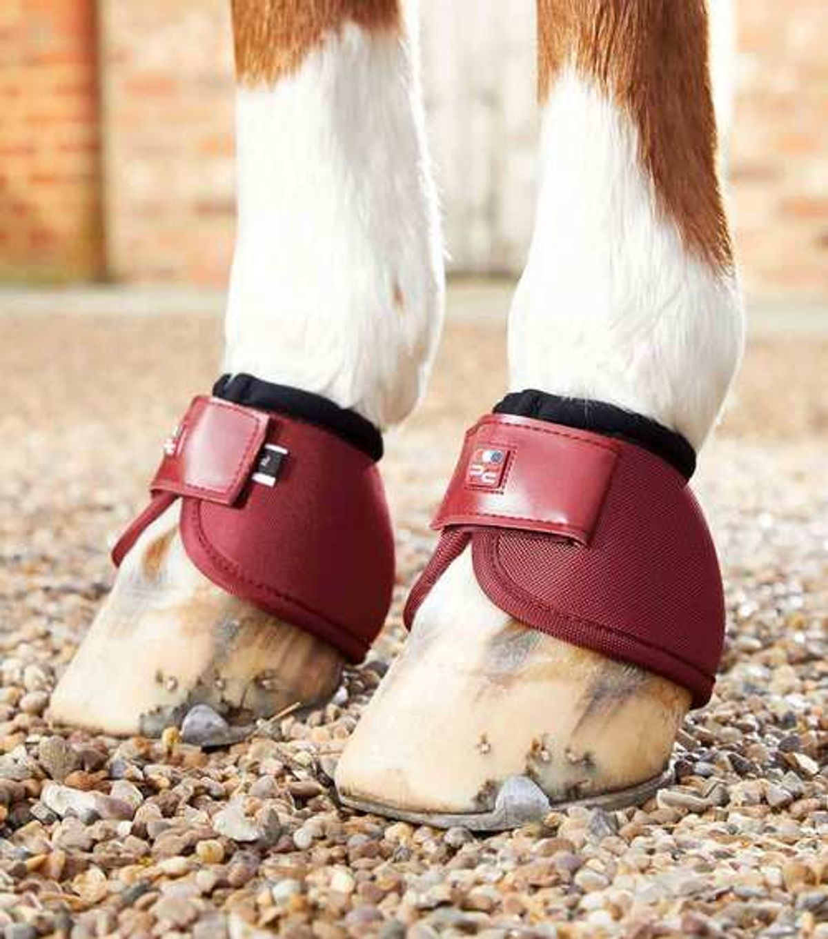 Premier Equine Ballistic No-Turn klokker - Burgundy - Medium