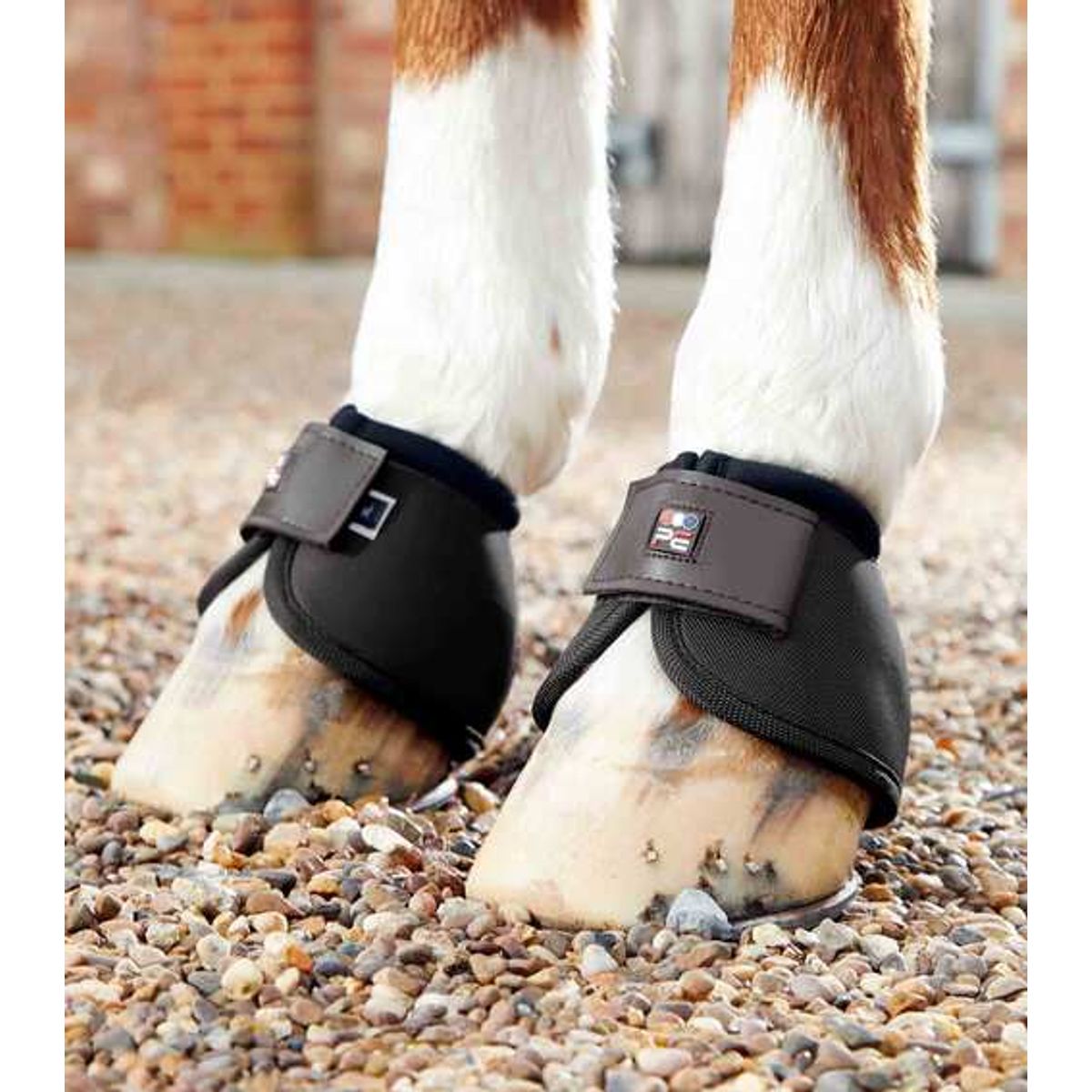 Premier Equine Ballistic No-Turn klokker - Sort - XLarge