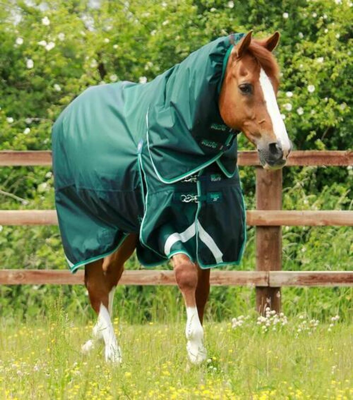 Premier Equine Buster 200g dækken med Snug Fit hals - Grøn - 6,0 135cm