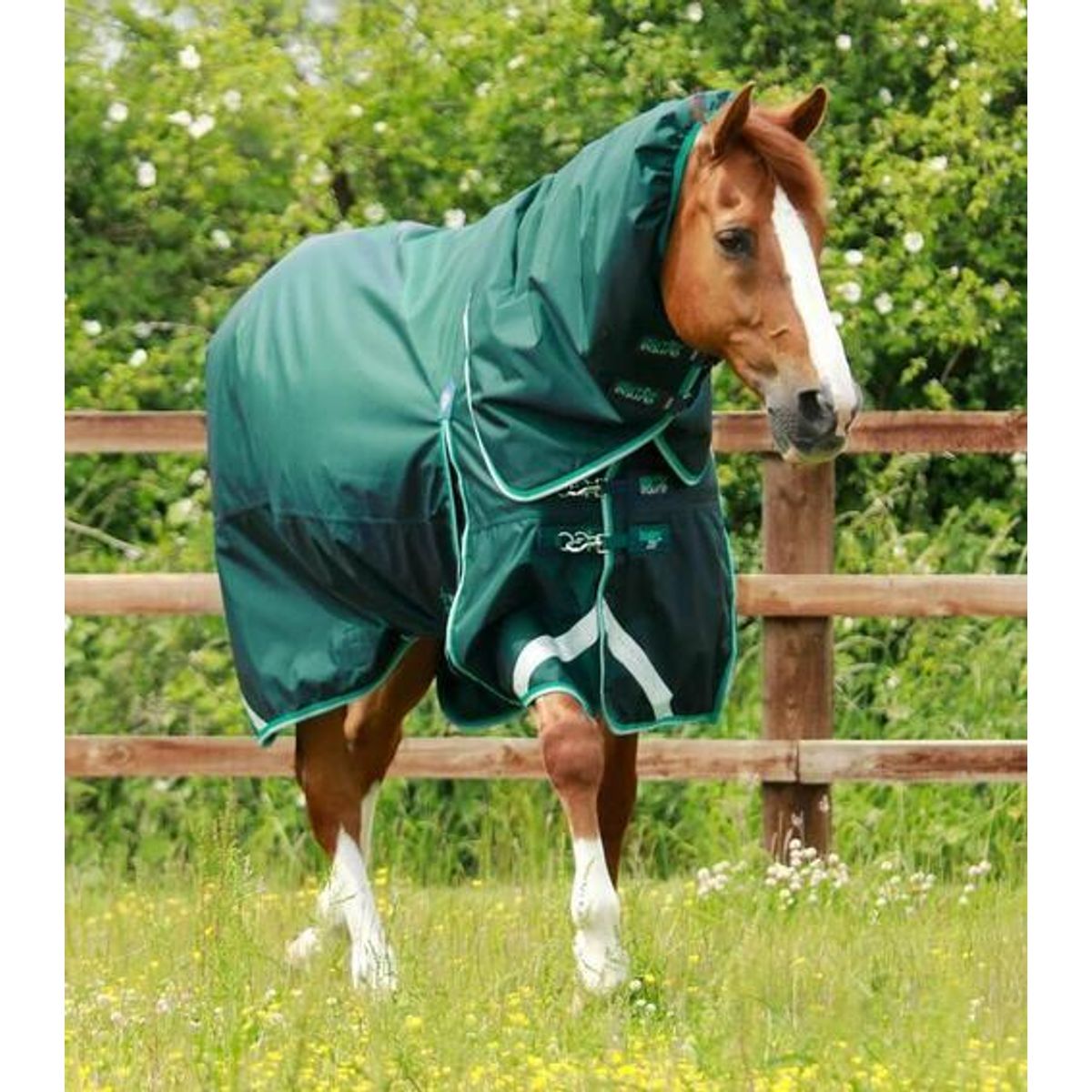 Premier Equine Buster 200g dækken med Snug Fit hals - Grøn - 6,6 145cm