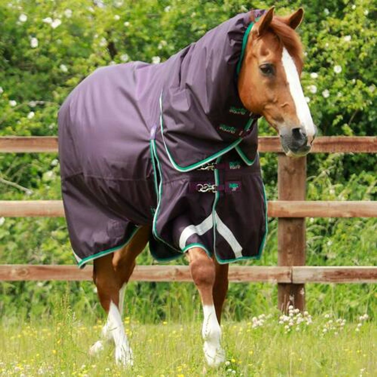 Premier Equine Buster 200g dækken med Snug Fit hals - Lilla - 5,3 120cm