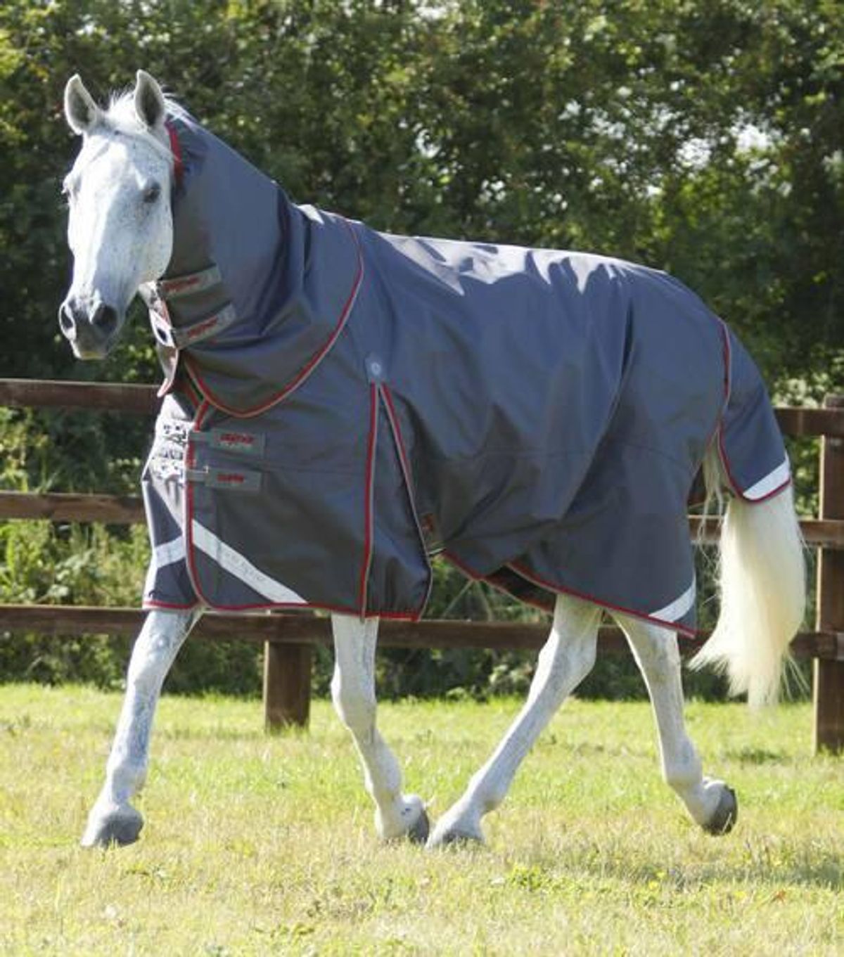 Premier Equine Buster 50g med aftagelig Snug-Fit hals - Grå - 5,0" (115cm)