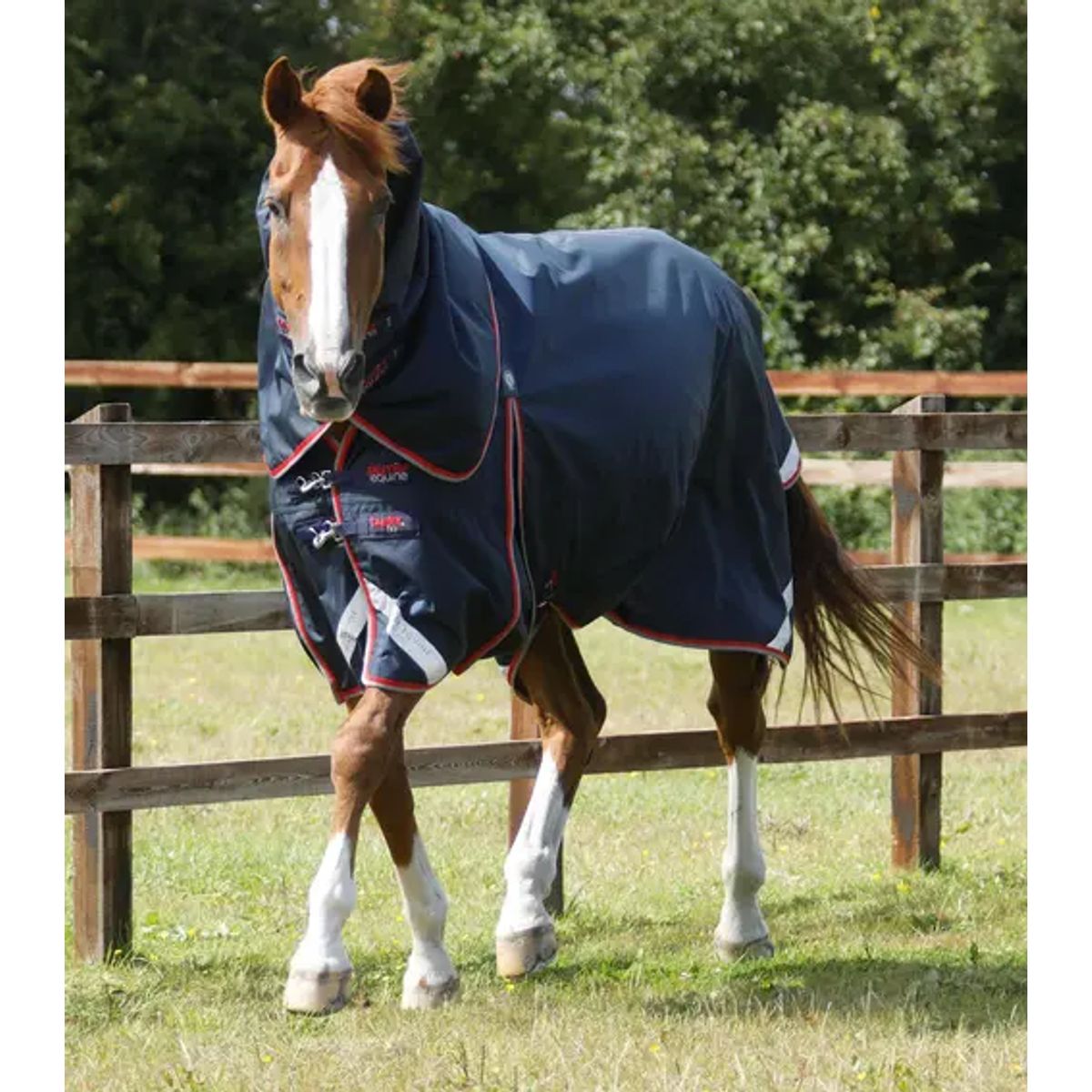 Premier Equine Buster 50g med aftagelig Snug-Fit hals - Navy - 5,3" (120cm)