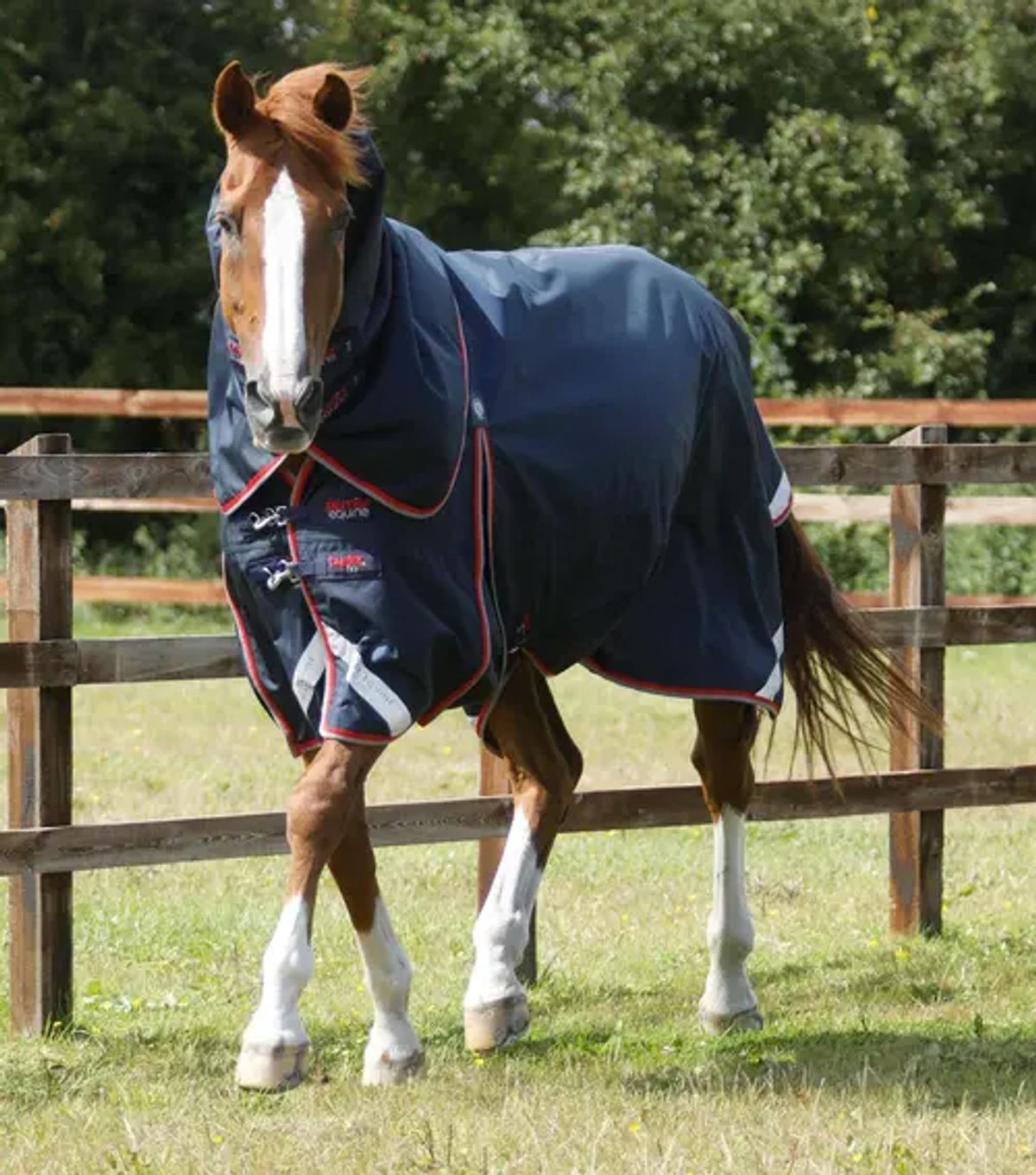 Premier Equine Buster 50g med aftagelig Snug-Fit hals - Navy - 5,6" (125cm)