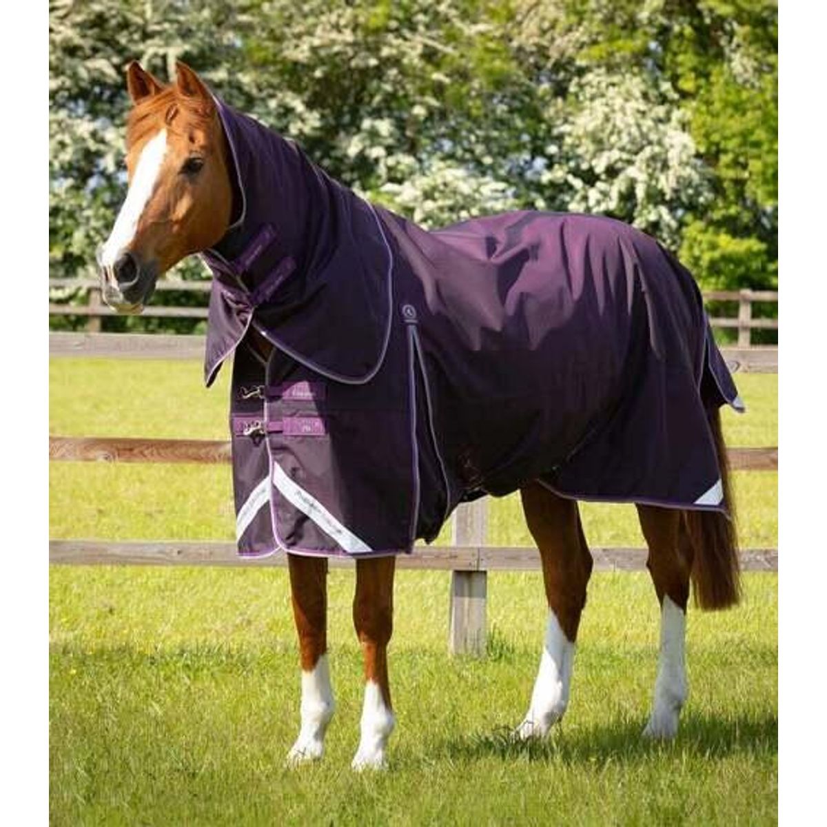 Premier Equine Buster 70g dækken med aftagelig hals - Lilla - 5,6 125cm