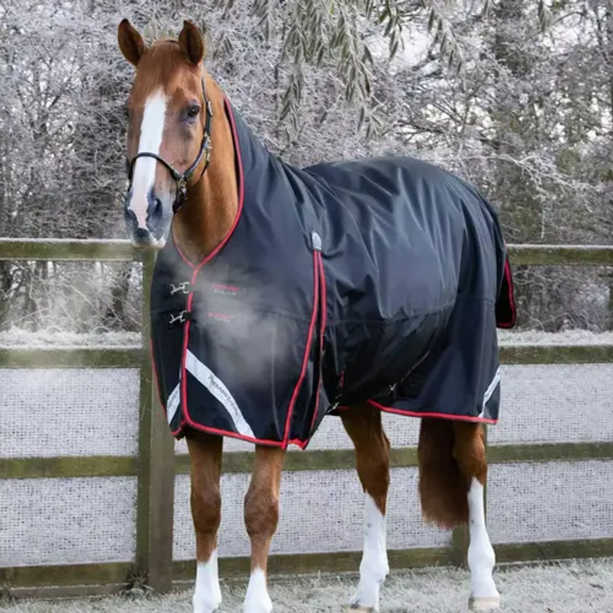 Premier Equine Buster Hardy 400g dækken - Sort - 5,3 120cm