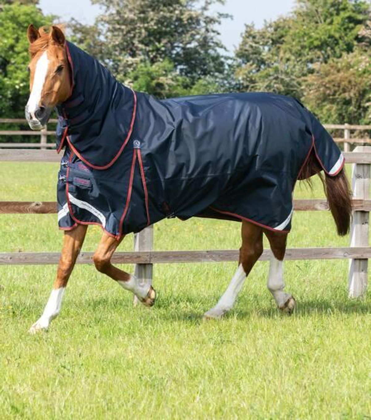 Premier Equine Buster med Classic hals - 150g - 5,0" (115cm)