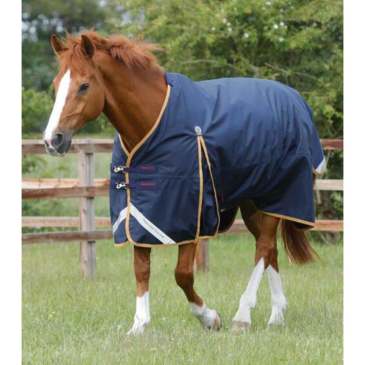 Premier Equine Buster Original 50g overgangsdækken - 6,3" (140cm)