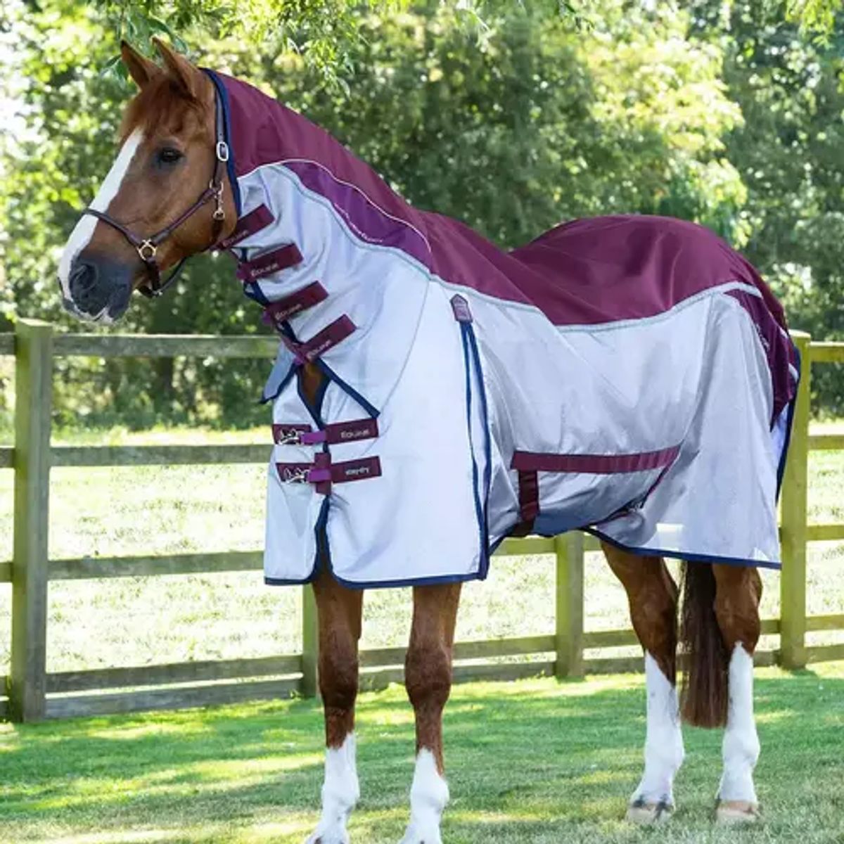 Premier Equine Buster Stay-Dry Super Lite insektdækken - Vinrød