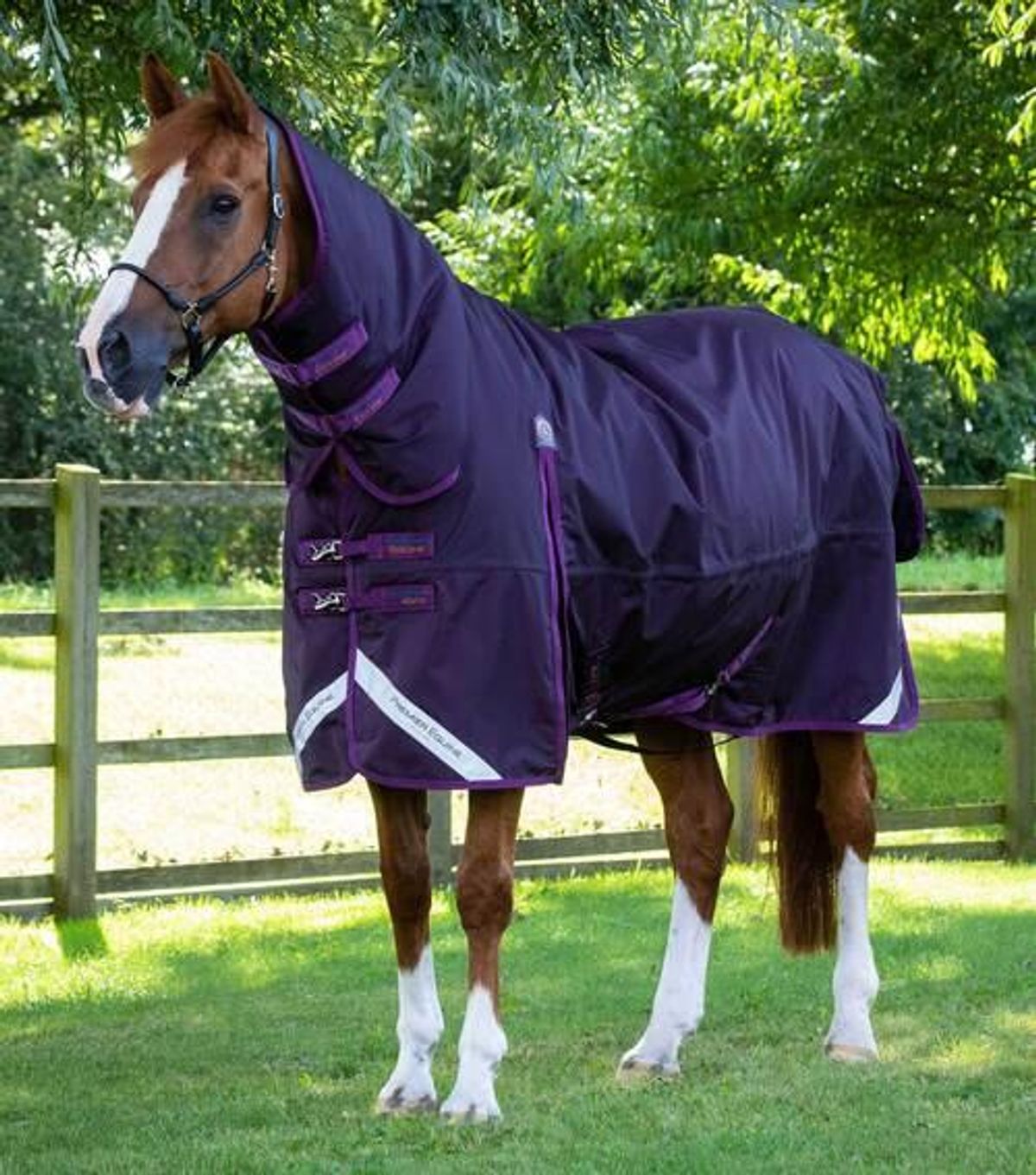 Premier Equine Buster Storm Combo 420g med sømløs hals - Lilla - 5,0" - 115cm