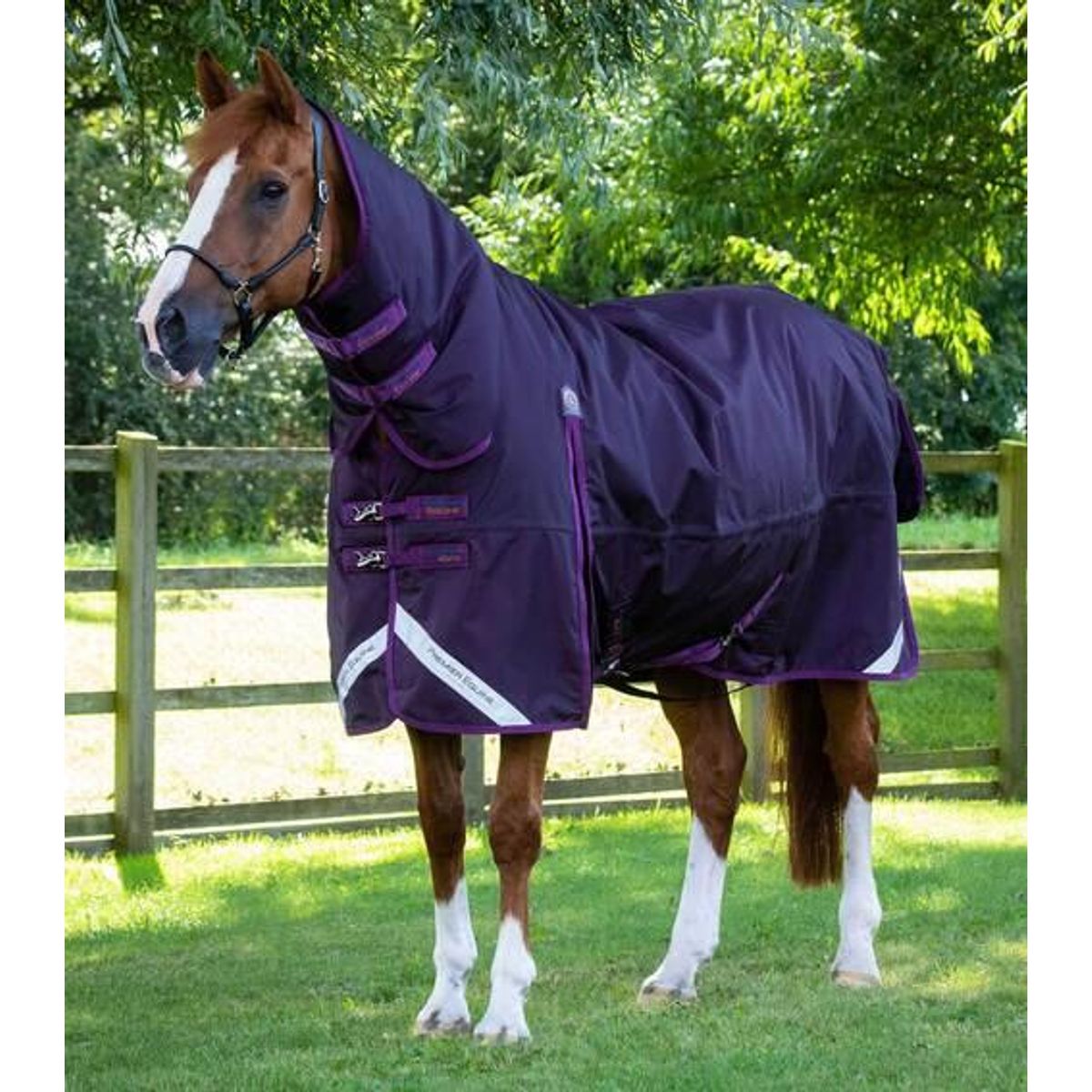 Premier Equine Buster Storm Combo 420g med sømløs hals - Lilla - 6,9" (155cm)