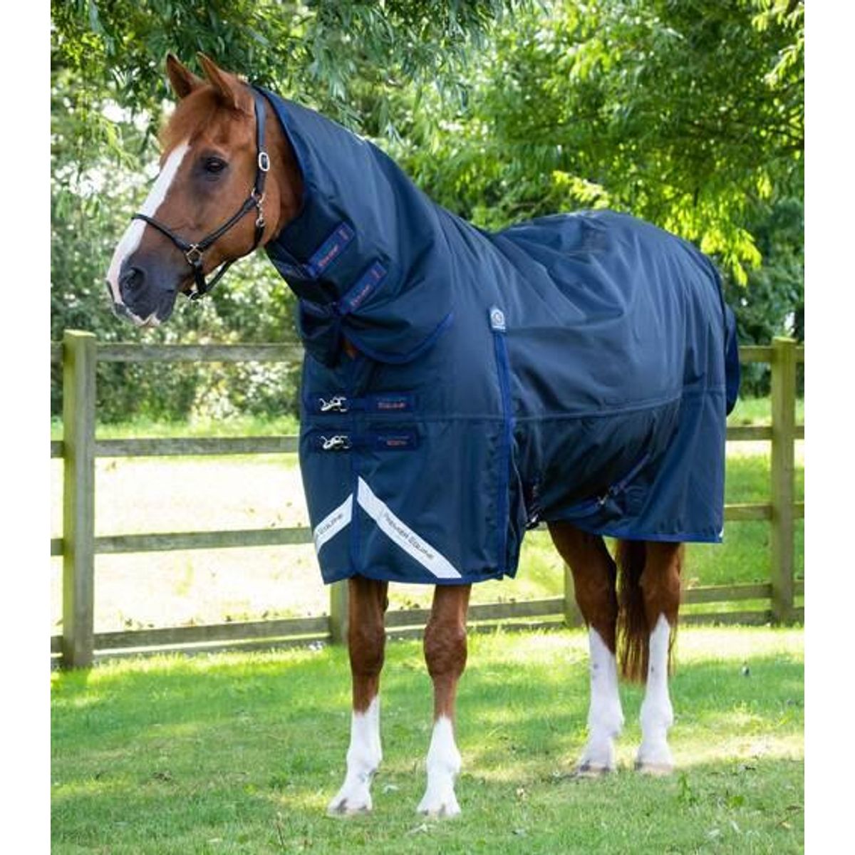 Premier Equine Buster Storm Combo 420g med sømløs hals - Navy - 5,6" (125cm)