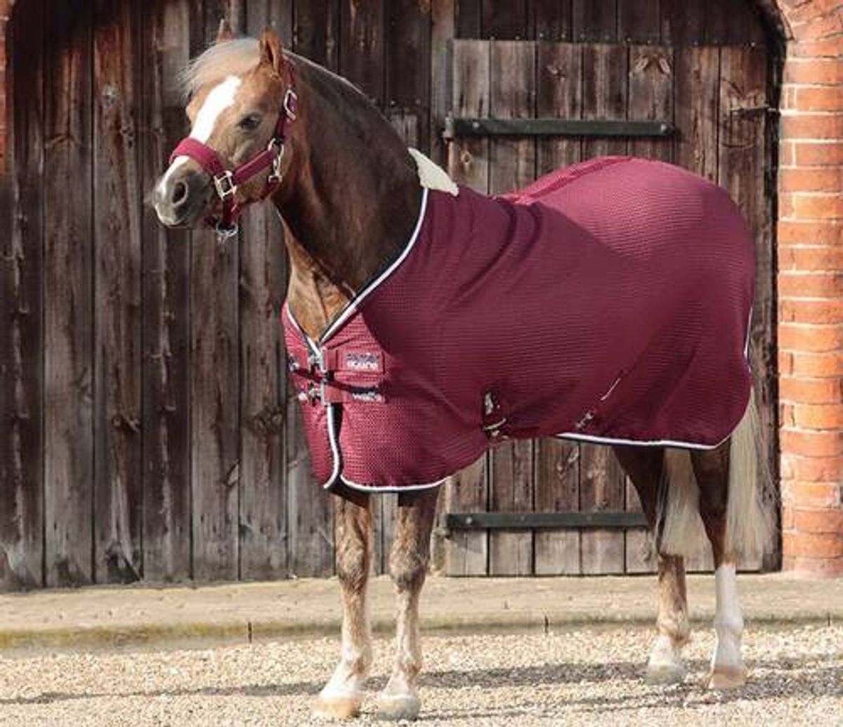 Premier Equine Buster Waffle Cooler - pony burgundy