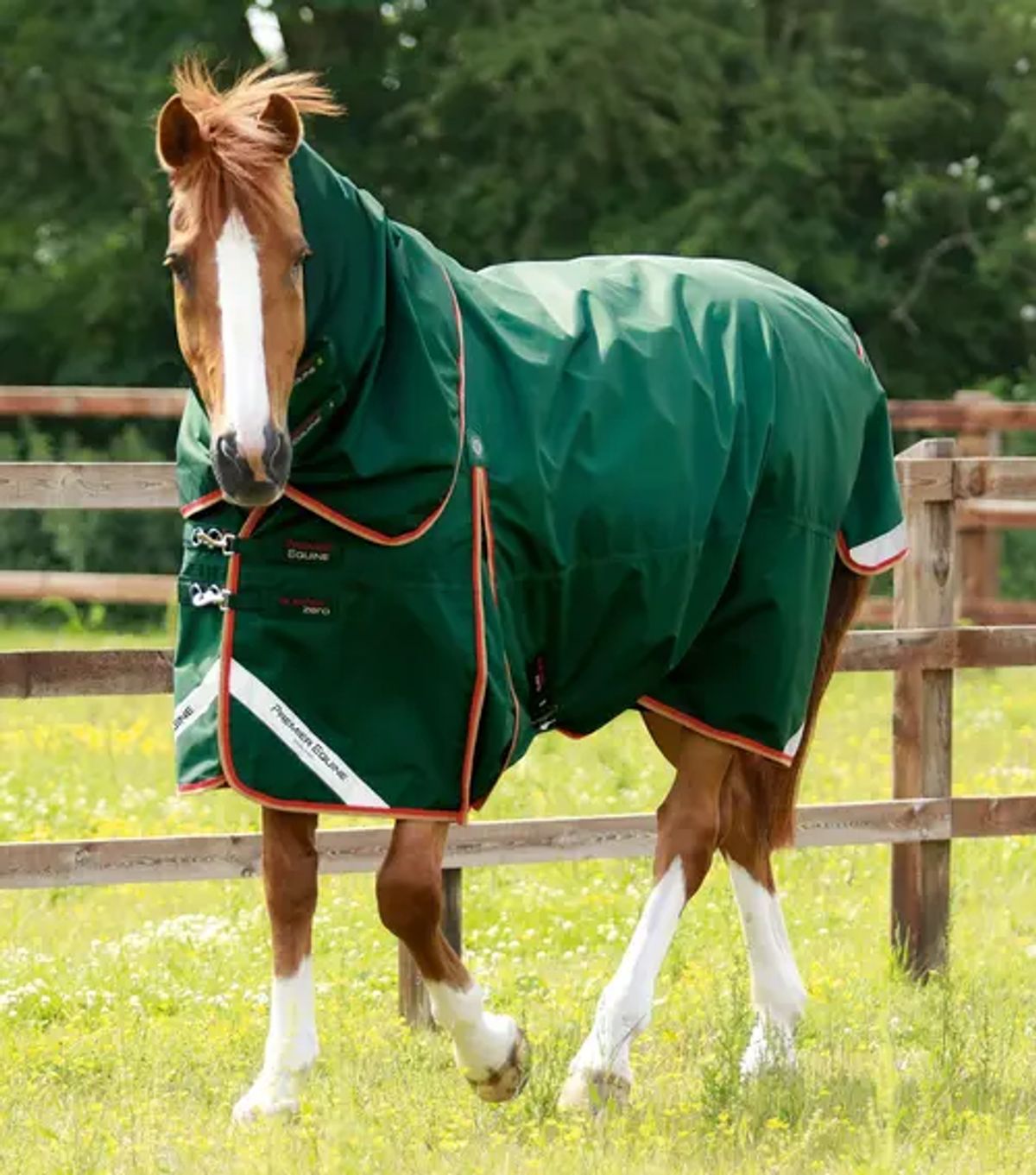 Premier Equine Buster Zero 0g med aftagelig hals - Grøn - 5,0 115cm