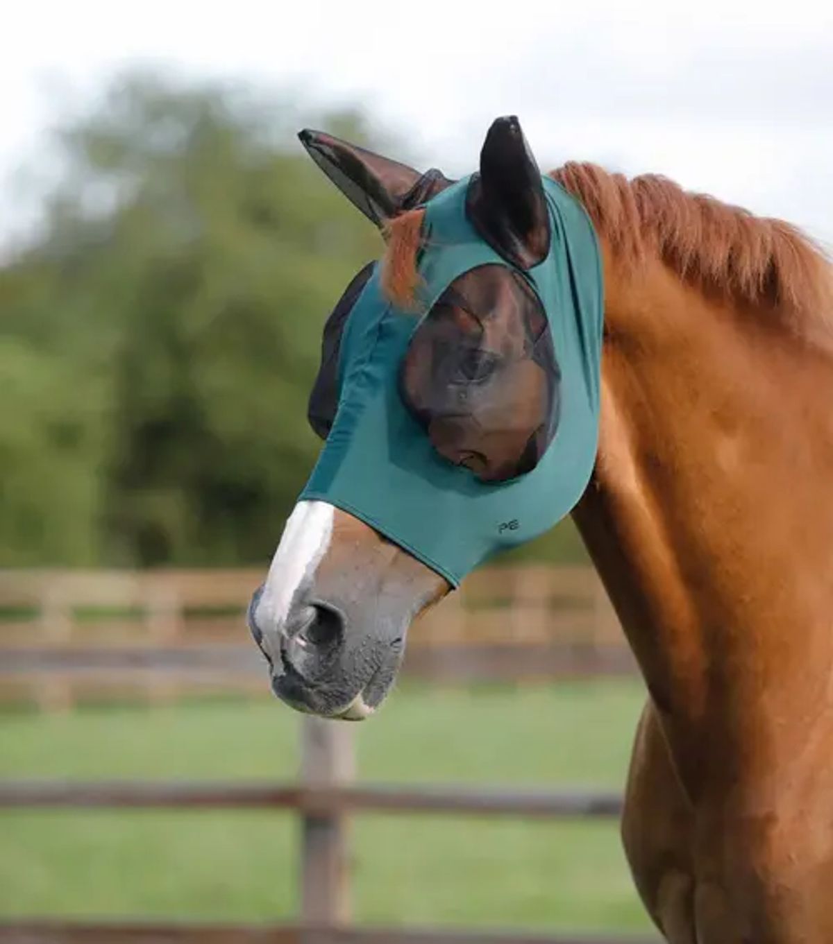 Premier Equine Comfort Lycra insektmaske - Grøn