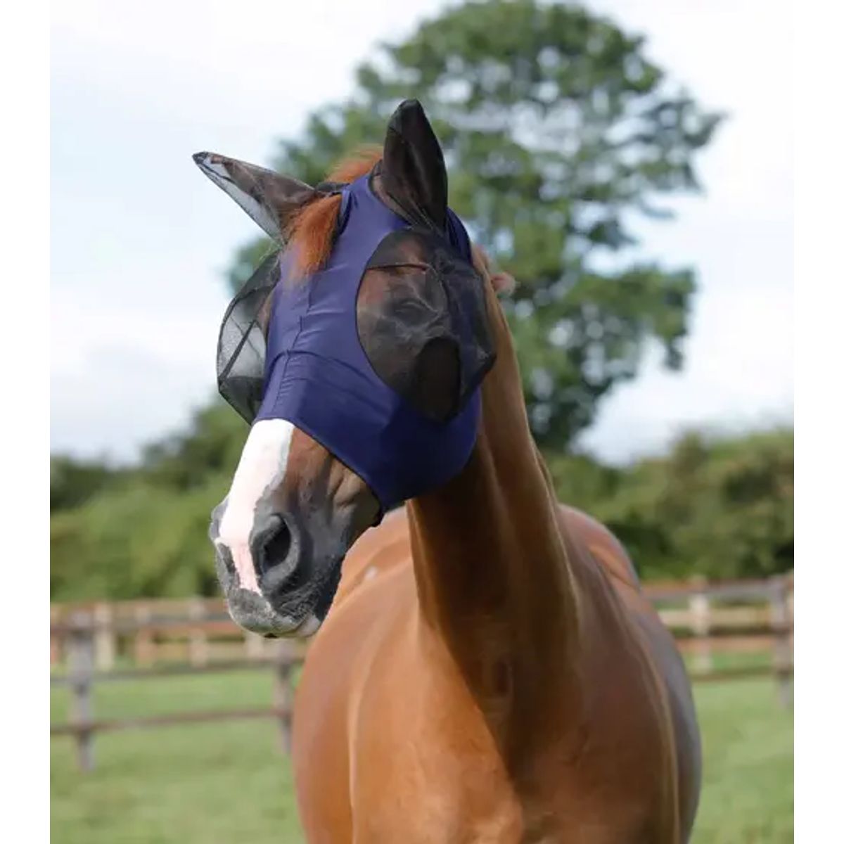 Premier Equine Comfort Lycra insektmaske - Navy - L