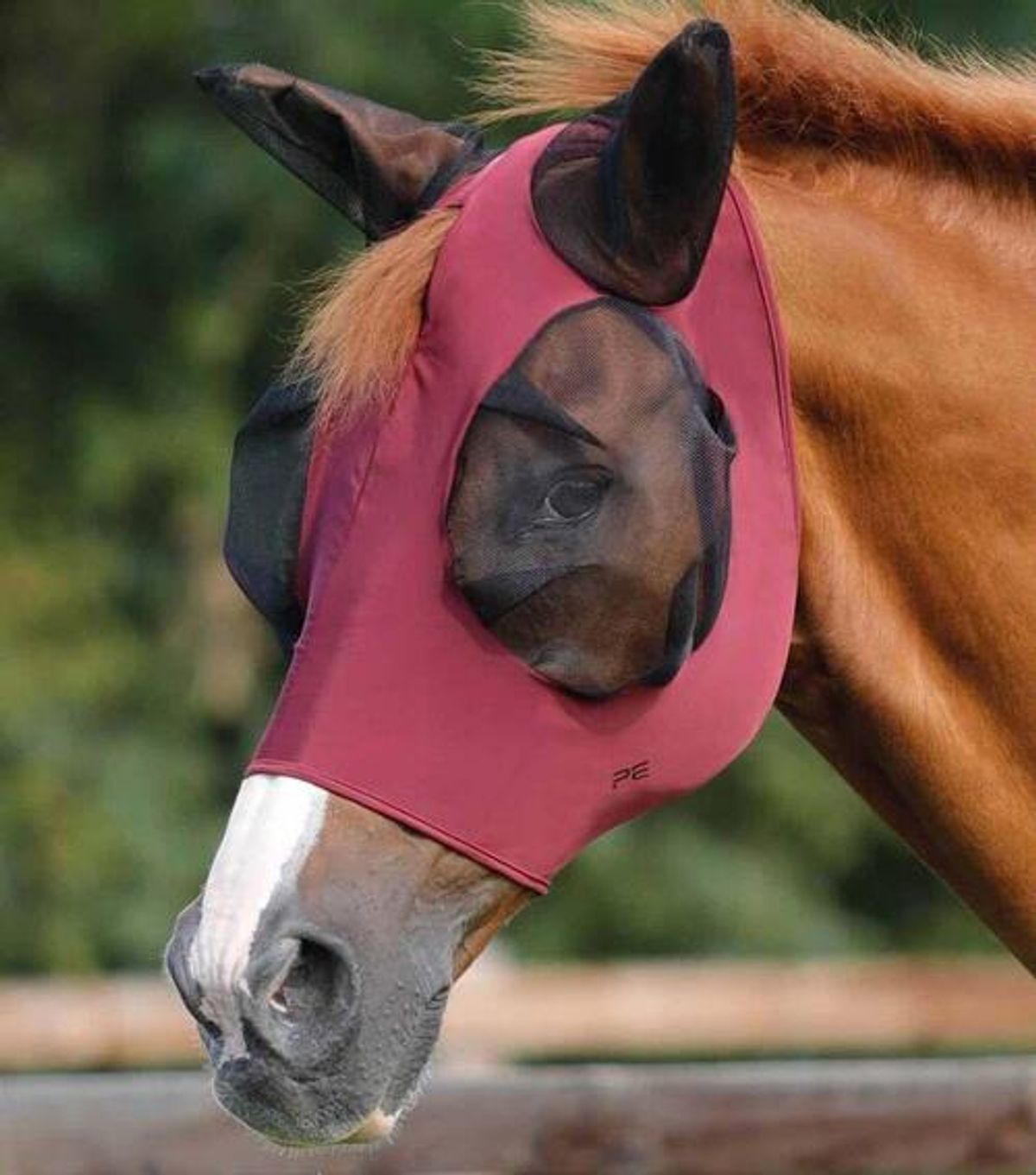 Premier Equine Comfort Lycra insektmaske - Wine