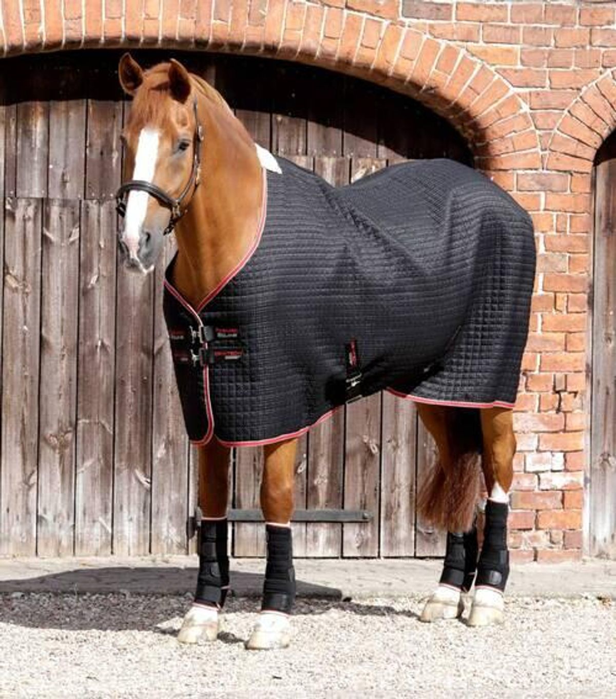 Premier Equine Dry-Tech Cooler dækken - Sort - 6,0" (135cm)