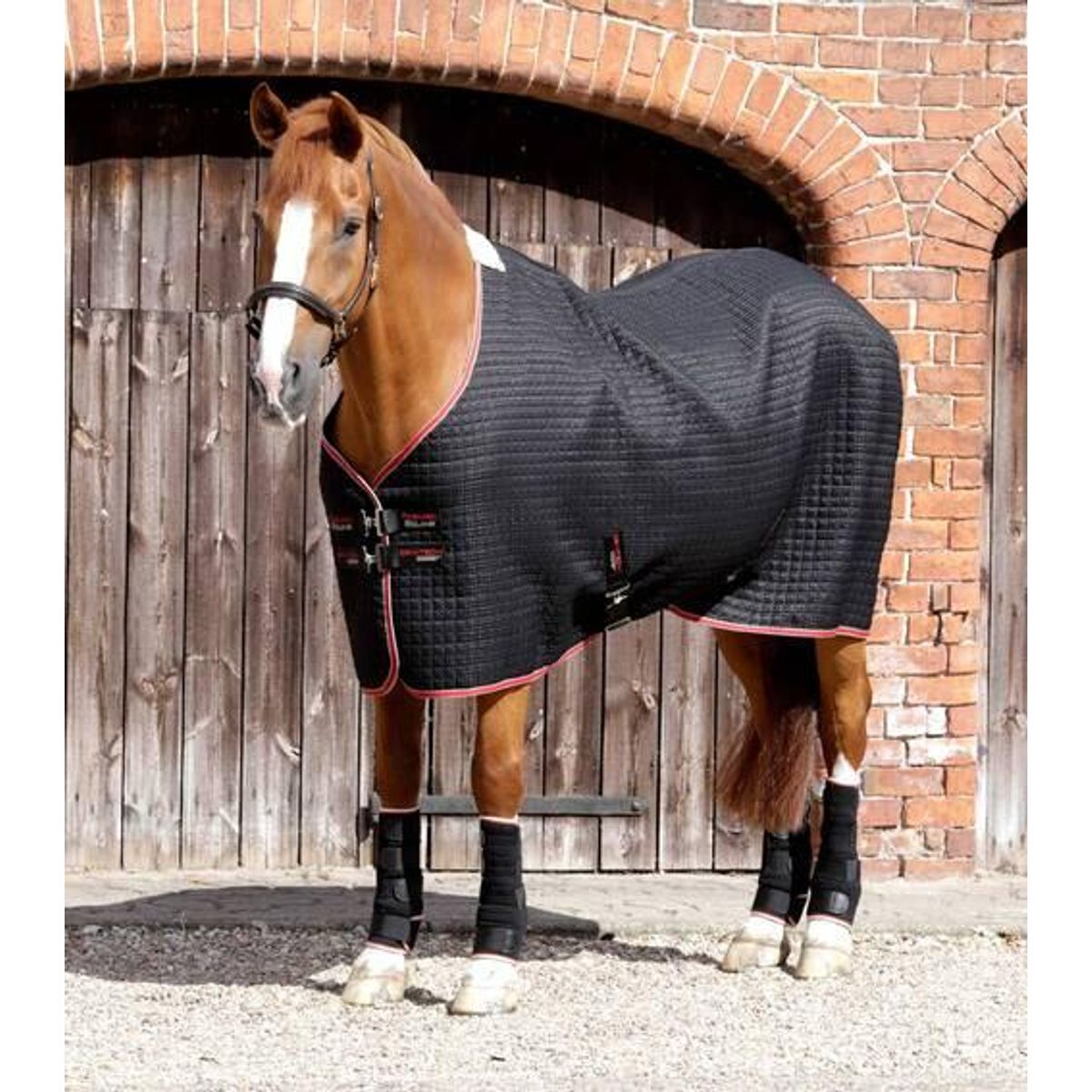 Premier Equine Dry-Tech Horse Cooler dækken - Sort - 6,3" (140cm)