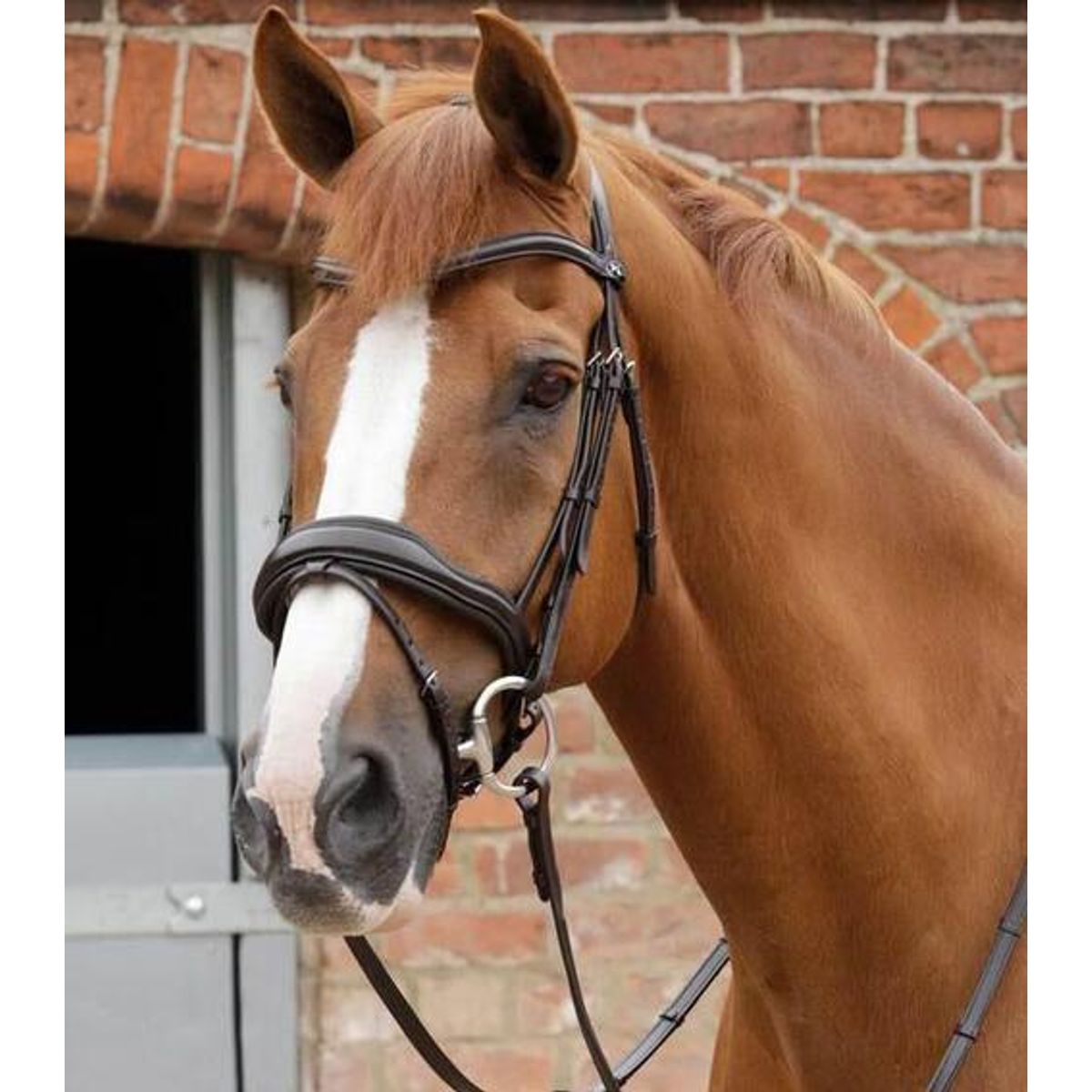 Premier Equine Favoloso Anatomic trense - Sort, Full