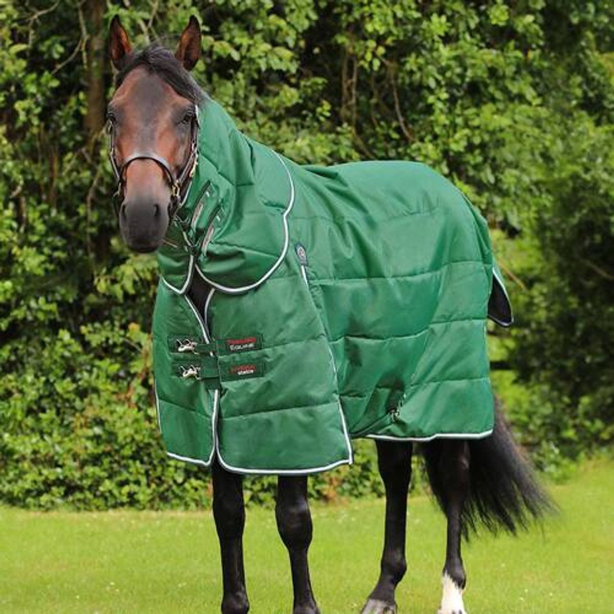 Premier Equine Hydra 200g stalddækken - Grøn - 5,6" - 125cm