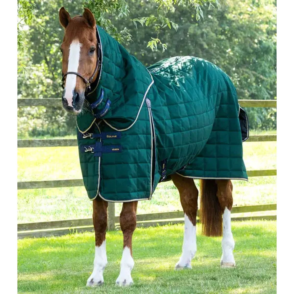 Premier Equine Lucanta 200g stald dækken med hals - Grøn - 5,9 130cm