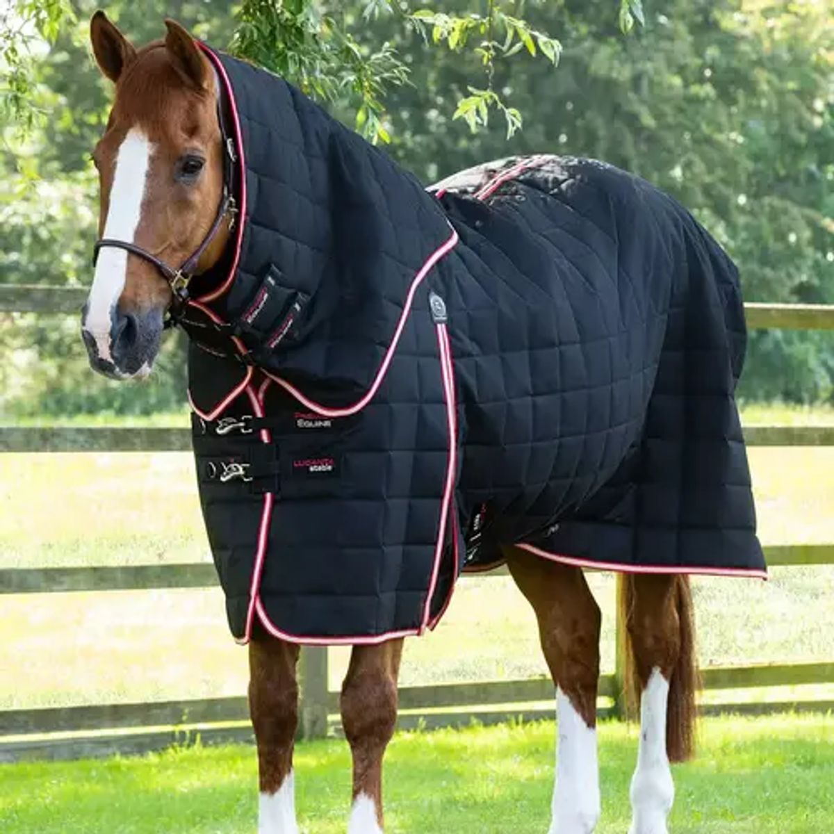 Premier Equine Lucanta 200g stald dækken med hals - Sort - 5,3 120cm