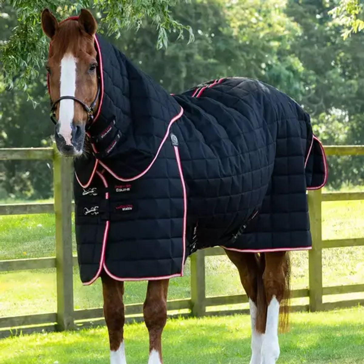 Premier Equine Lucanta 450g stalddækken med hals - Sort - 5,3 120cm