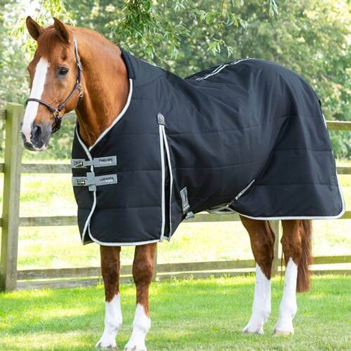 Premier Equine Lucanta Demi stalddækken - 100g - 5,0" - 115cm