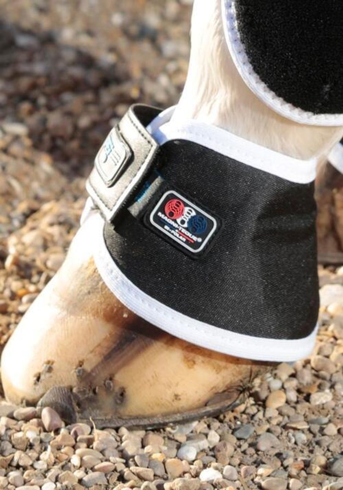 Premier Equine Magni-Teque Magnet boots