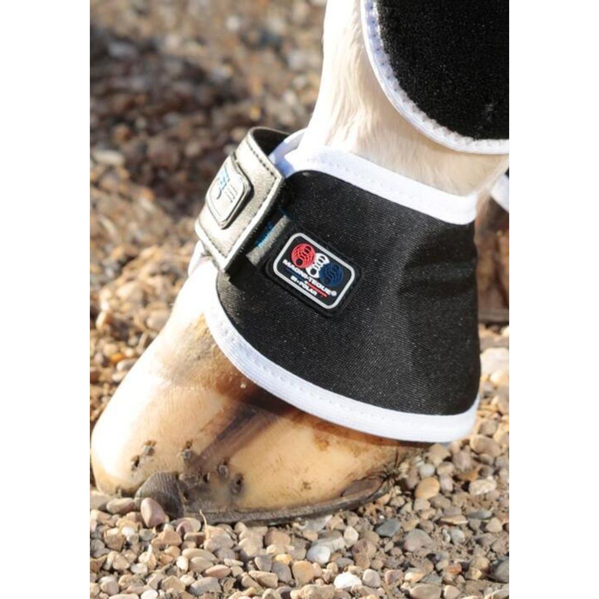 Premier Equine Magni-Teque Magnet boots - L