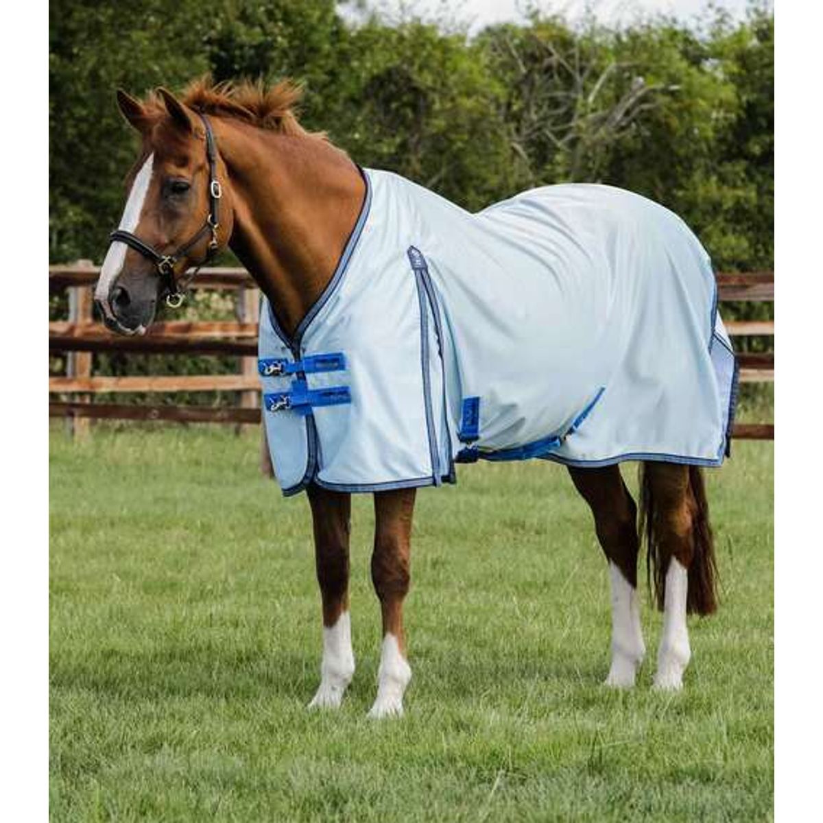 Premier Equine Mesh Air insekt dækken - 6,0" (135cm)