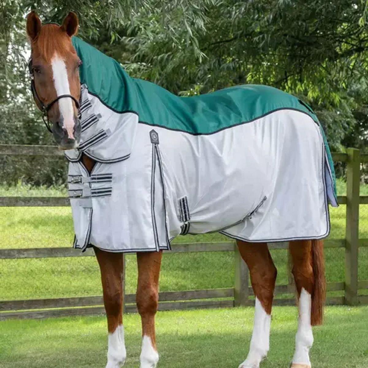 Premier Equine ShowerTex insektdækken - Grøn - 5,6" (125cm)