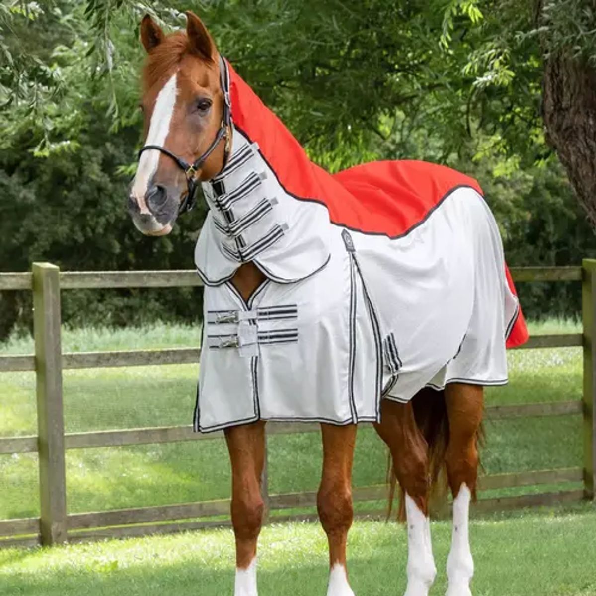 Premier Equine ShowerTex insektdækken - Rød - 5,6" (125cm)