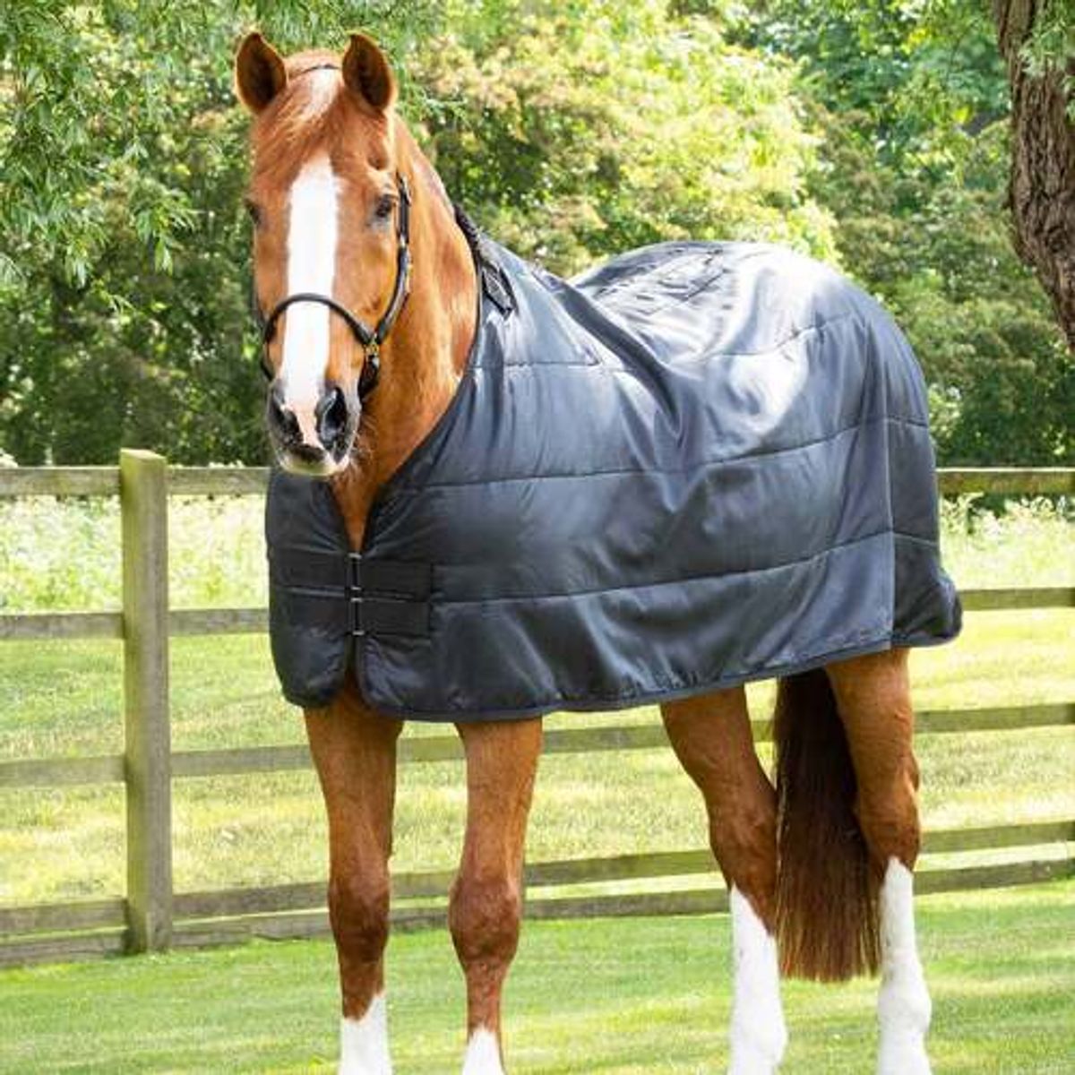 Premier Equine Standard dækken liner - 100g - 6,0 135cm