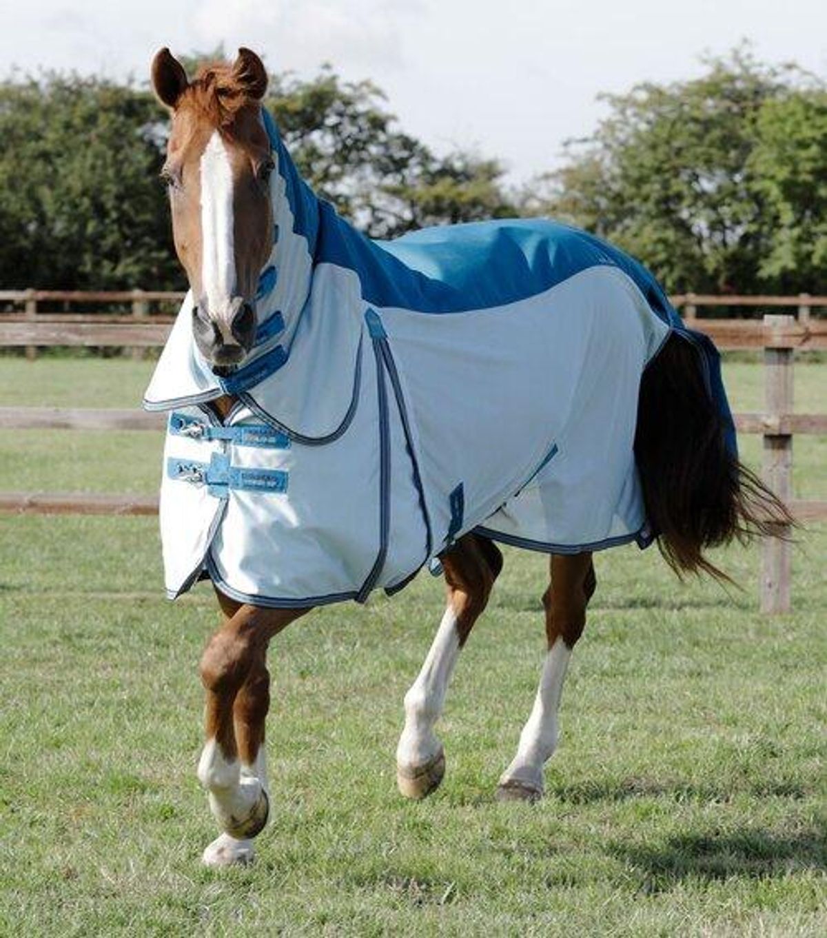 Premier Equine Stay-Dry Mesh Air Fly dækken - Blå