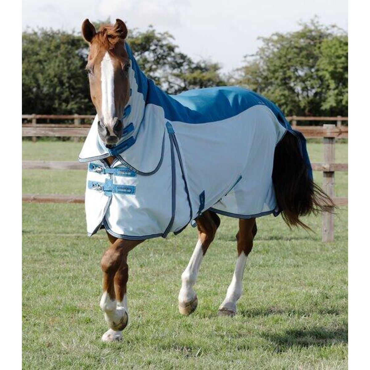 Premier Equine Stay-Dry Mesh Air Fly dækken - Blå - 6,9" (155cm)