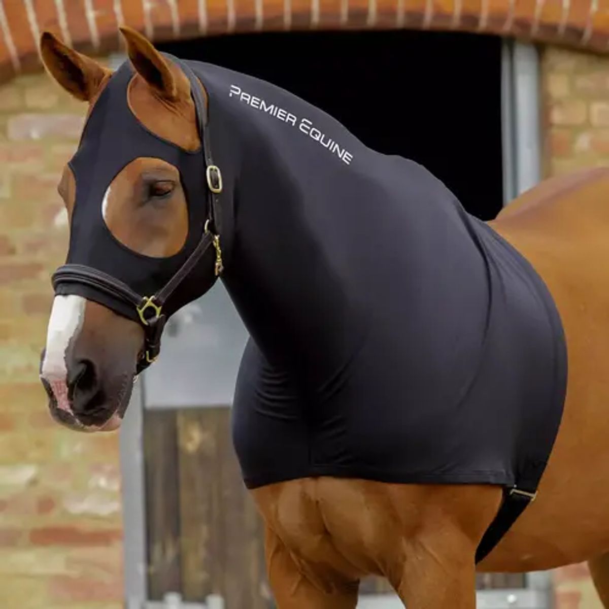 Premier Equine Strech Lycra Hood til hest - M