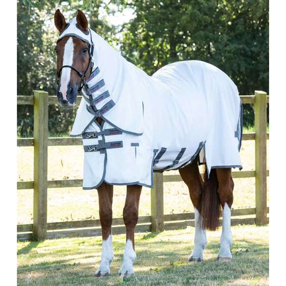 Premier Equine Sweet Itch Buster eksem dækken med maveklap - 6,6" (145cm)