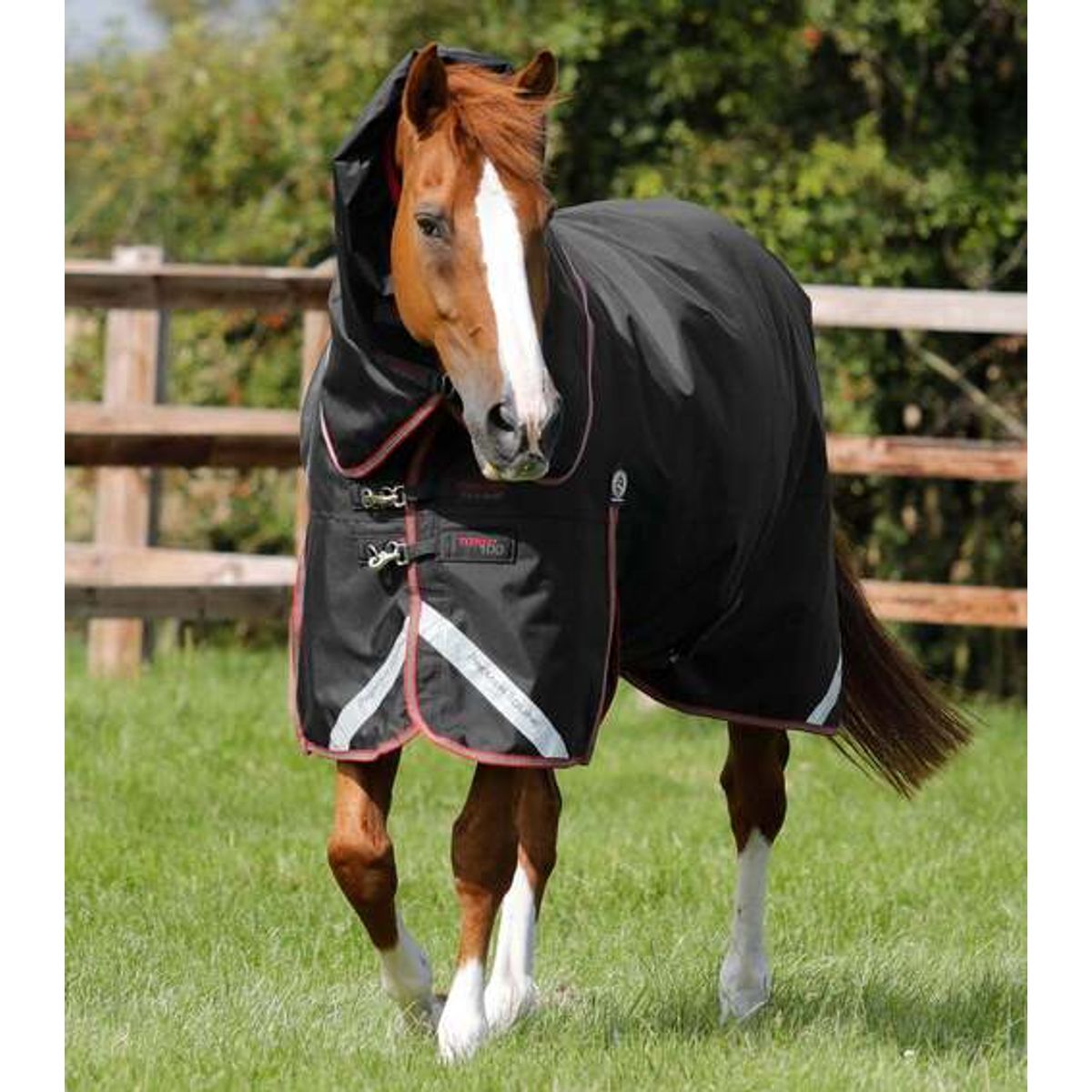 Premier Equine Titan 100g dækken med Snug-fit hals - Sort - 5,6" (125cm)