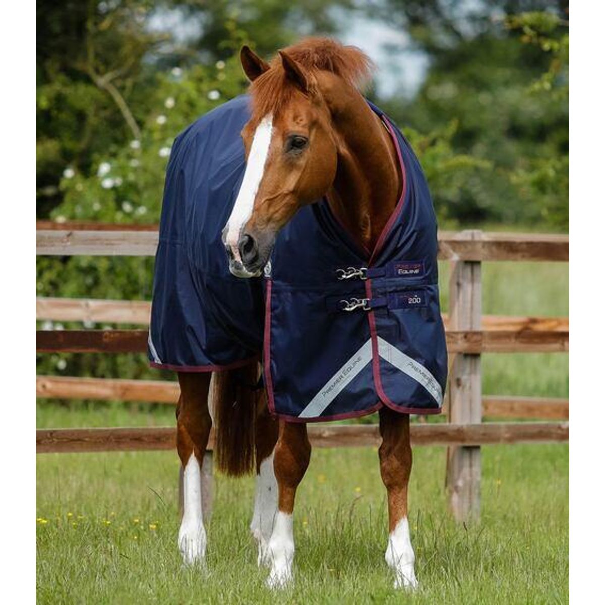 Premier Equine Titan 200 Original Turnout dækken - Navy - 5,0" (115cm)